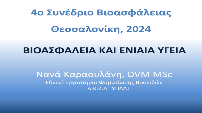 Καραουλάνη Νανά 2024 1